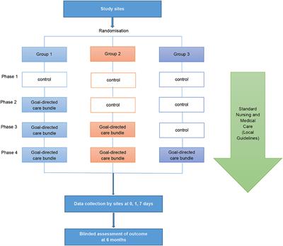 Process Evaluation of an Implementation Trial: Design, Rationale, and Early Lessons Learnt From an International Cluster Clinical Trial in Intracerebral Hemorrhage
